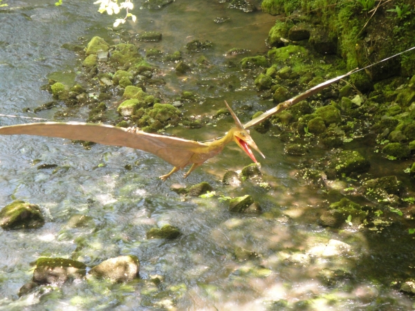 Creation of Pterodactyl Nest: Step 1